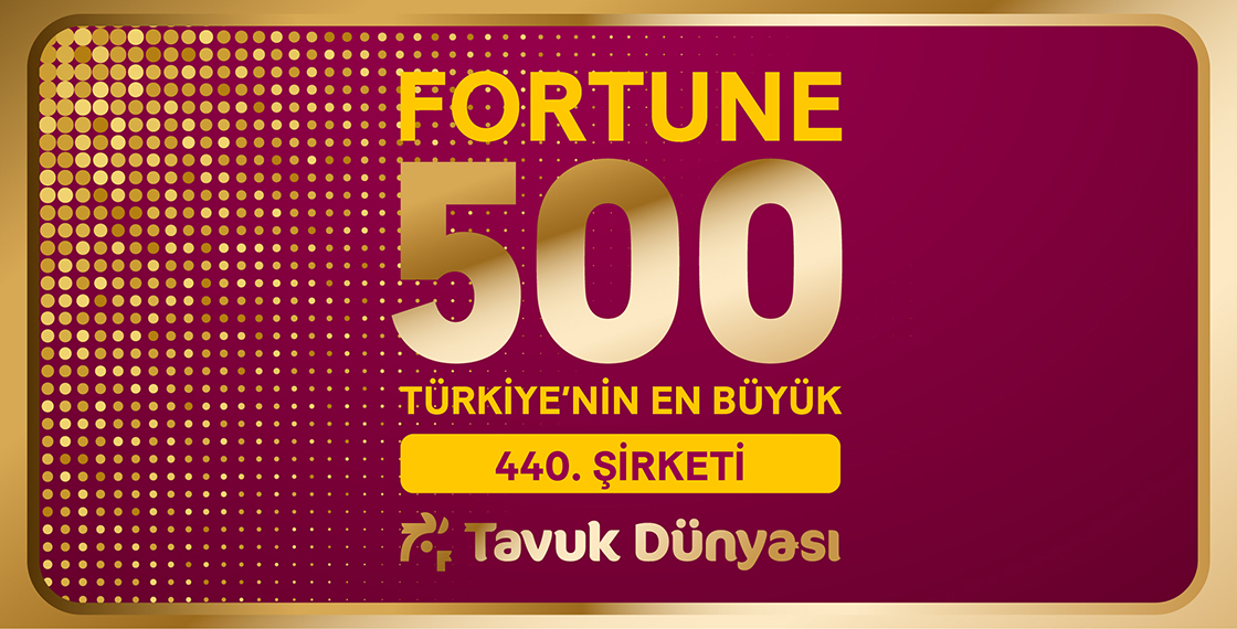 FORTUNE 500 TÜRKİYE 2024 LİSTESİNDEYİZ!